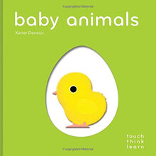 baby animals