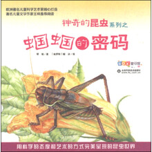 昆蟲