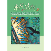 國(guó)際兒童文學(xué)獎(jiǎng)