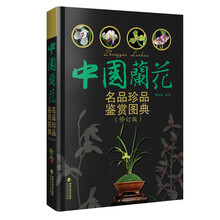 中國蘭花