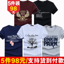 賓宇兄弟（BINYUXD） 短袖 男士T恤 翅酒+SP黑+項藍(lán)+樹白+PK灰 加大