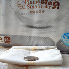 拉拉小貝
