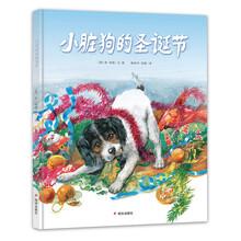 漂流瓶小
