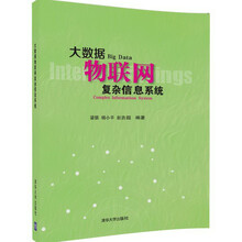 大數(shù)據(jù)物聯(lián)網(wǎng)