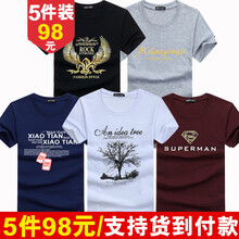 賓宇兄弟（BINYUXD） 短袖 男士T恤 金翅黑+木蘭淺灰+項鏈藍+樹白+金超人酒紅 加大