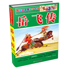 岳飛傳