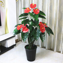 排名,排行榜,花瓶,推薦,簡(jiǎn)坊,花藝,花藝,花瓶,簡(jiǎn)坊
