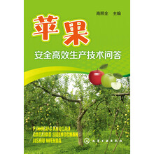 安全生產(chǎn)技術(shù)