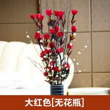 zhizhiyu,��ô��,zhizhiyu,��ƿ,��ƿ