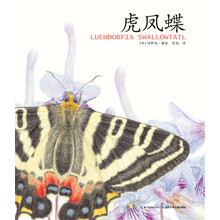 繪本精裝