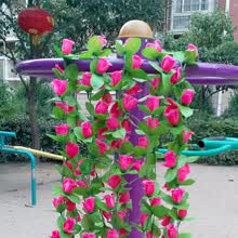 ŷʽ�ɹ�