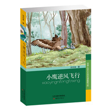 小鷹逆風(fēng)飛行