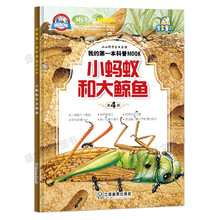 小牛頓