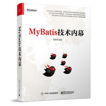 mybatis技術(shù)內(nèi)幕
