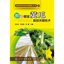 蔬菜黃瓜