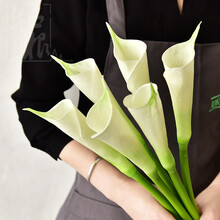 花卉壁畫(huà)，營(yíng)造浪漫精致的家