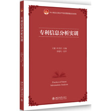 專(zhuān)利分析