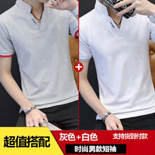 沸絡(luò)德（FEILUODE） 短袖 男士T恤 立領(lǐng)灰色+立領(lǐng)白色 