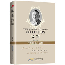 風(fēng)箏小說