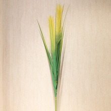 田園風(fēng)花瓶，讓你愛上文藝生活
