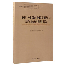 中國企業(yè)