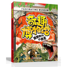 奇趣博物館