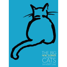 the big book of