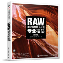 raw專業(yè)技法