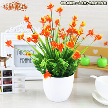 仿真,怎么樣,仿真,蝴蝶蘭花,蝴蝶蘭花