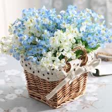 ��Ҷ���콢��