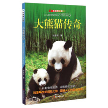 大熊貓傳奇