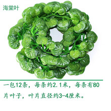 精致唯美花瓶，營(yíng)造浪漫的田園風(fēng)