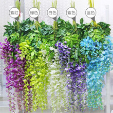 綠植室內(nèi)裝飾