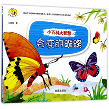 大智慧