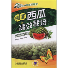 西瓜