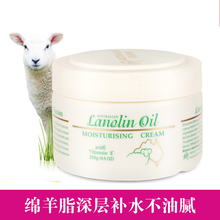 怎么樣,綿羊,綿羊