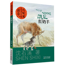 沈石溪畫本