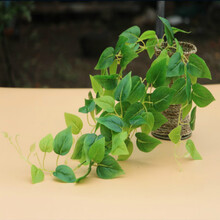 告別單調(diào)，玻璃花瓶讓你愛(ài)上生活