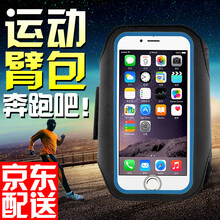 蘋果五多大