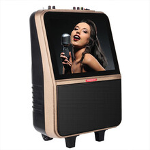 長(cháng)虹（ChongHong）  音箱/音響 香檳金