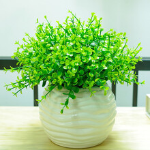 仿真,仿真,植物,排名,排行榜,盆景,盆景,植物,推薦