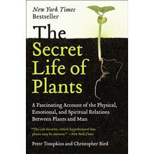 the secret