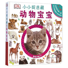 dk捉迷藏寶寶