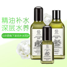 善草紀(jì)茉莉