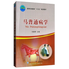 十三五