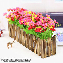 玫瑰小雛菊