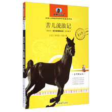 苦兒流浪記