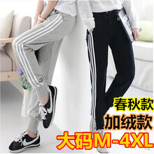 英菲蘭朵（YING FEI LAN DUO） 松緊腰 直筒褲 女 長(zhǎng)褲 休閑褲
