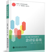 會計信息化