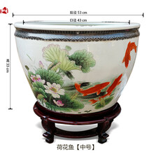 養(yǎng)金魚魚缸